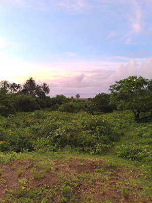 lot view