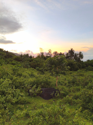 lot view