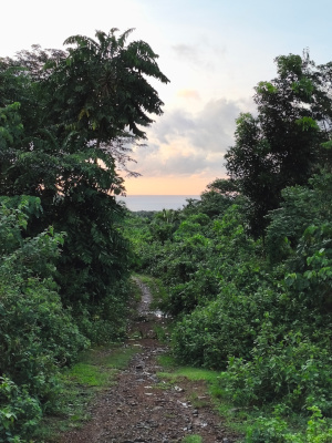 lot view