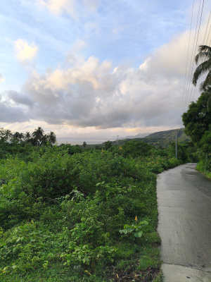 lot view