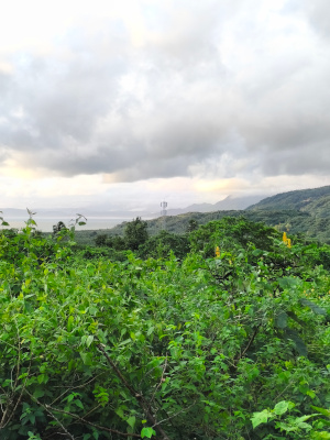 lot view