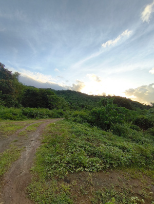 lot view