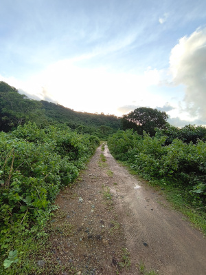 lot view